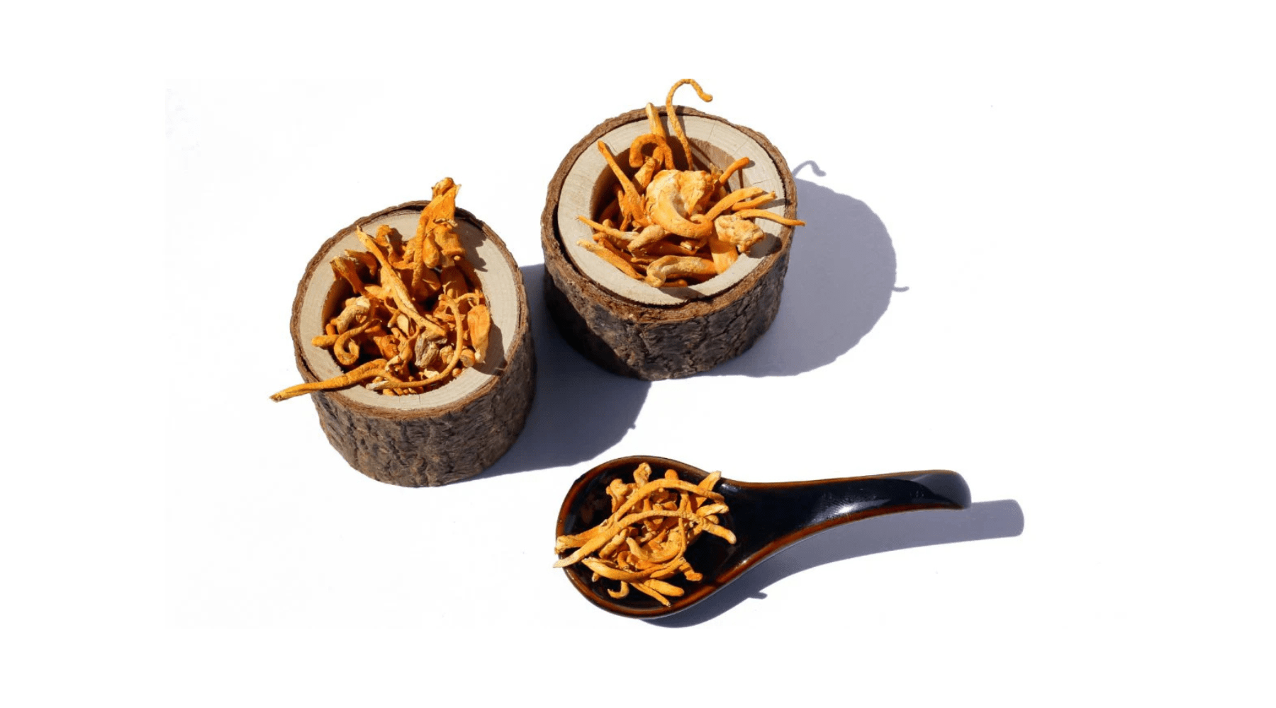 Cordyceps Mushroom: Boost Energy, Endurance, and Support Immune Health - Pure Fungi