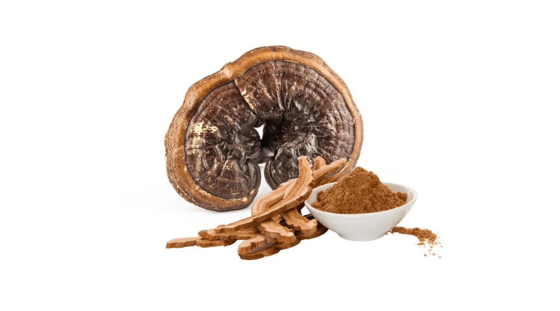 Whole dried Reishi mushroom with dried slices and a bowl of ground Reishi powder – Pure Fungi