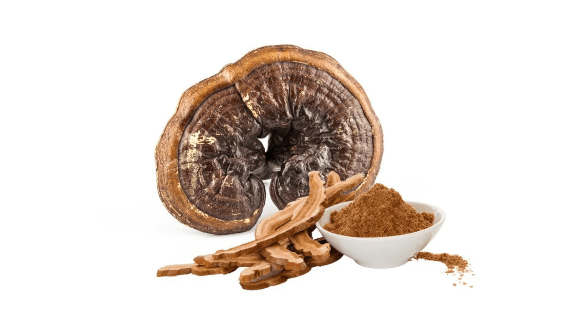 Reishi Mushroom: Immunity, Stress Relief and Anti-Inflammatory Benefits - Pure Fungi