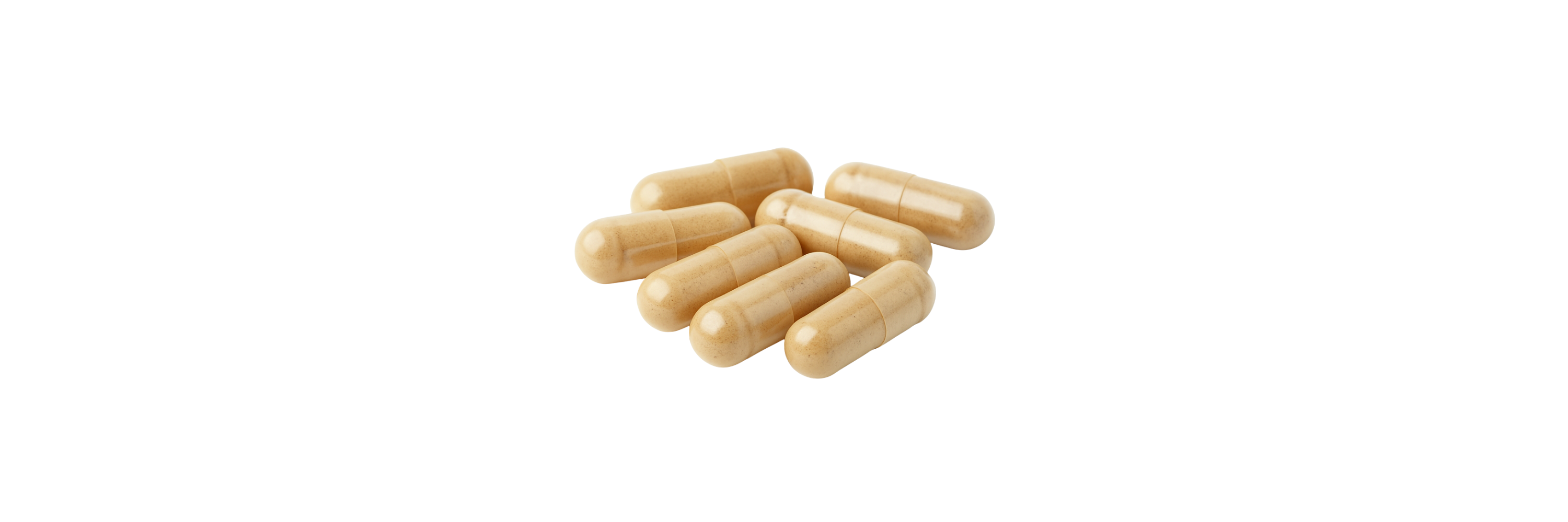 Mushroom extract capsules on a white background