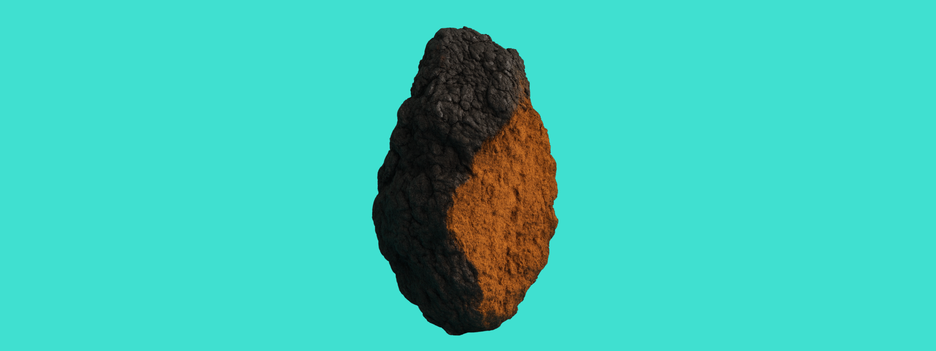 Chaga mushroom on blue background