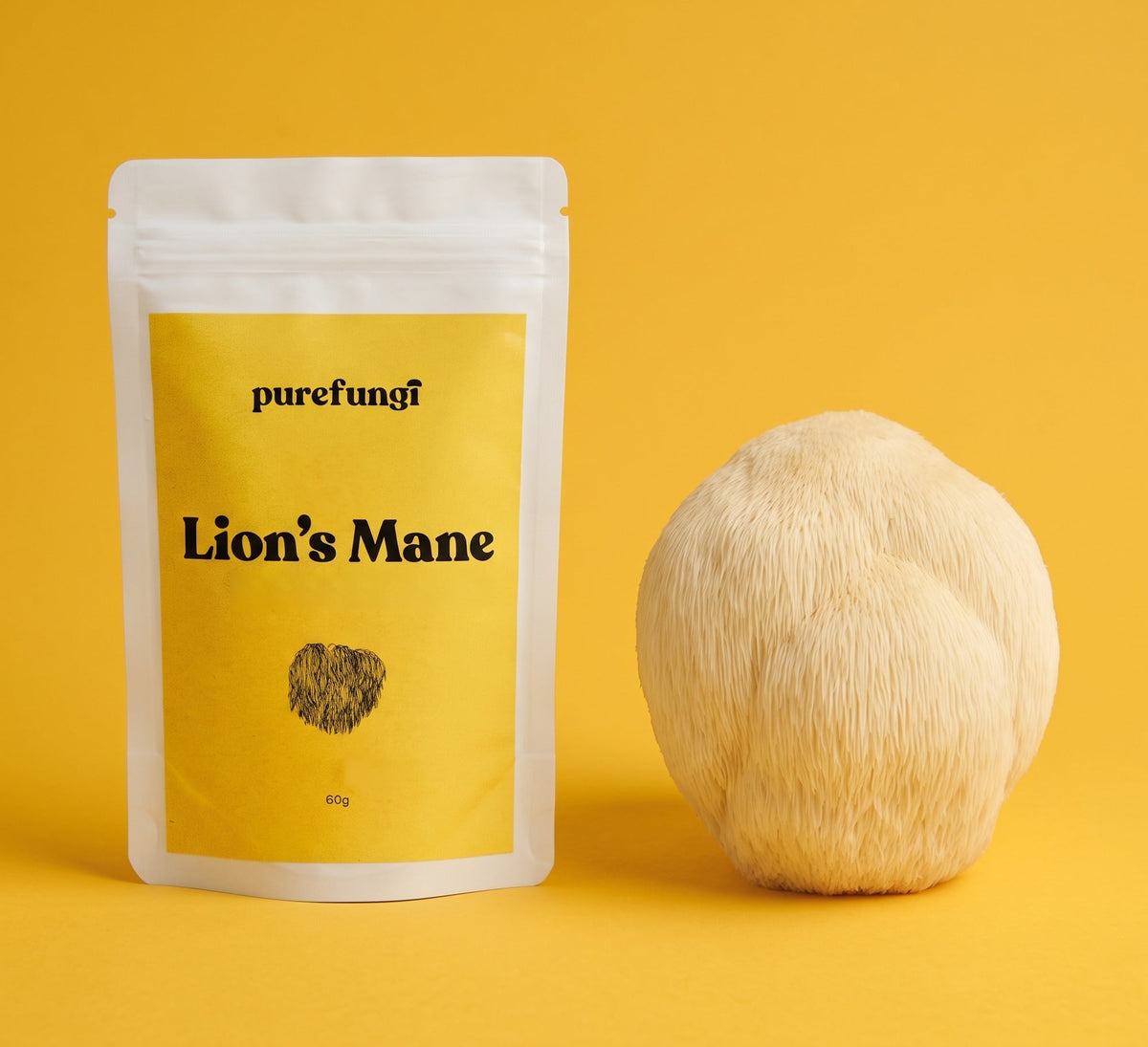 Pure Fungi Lion's Mane Mushroom Extract Powder, 60g pouch with a yellow label, beside a Lion's Mane mushroom (Hericium erinaceus) on a yellow backdrop