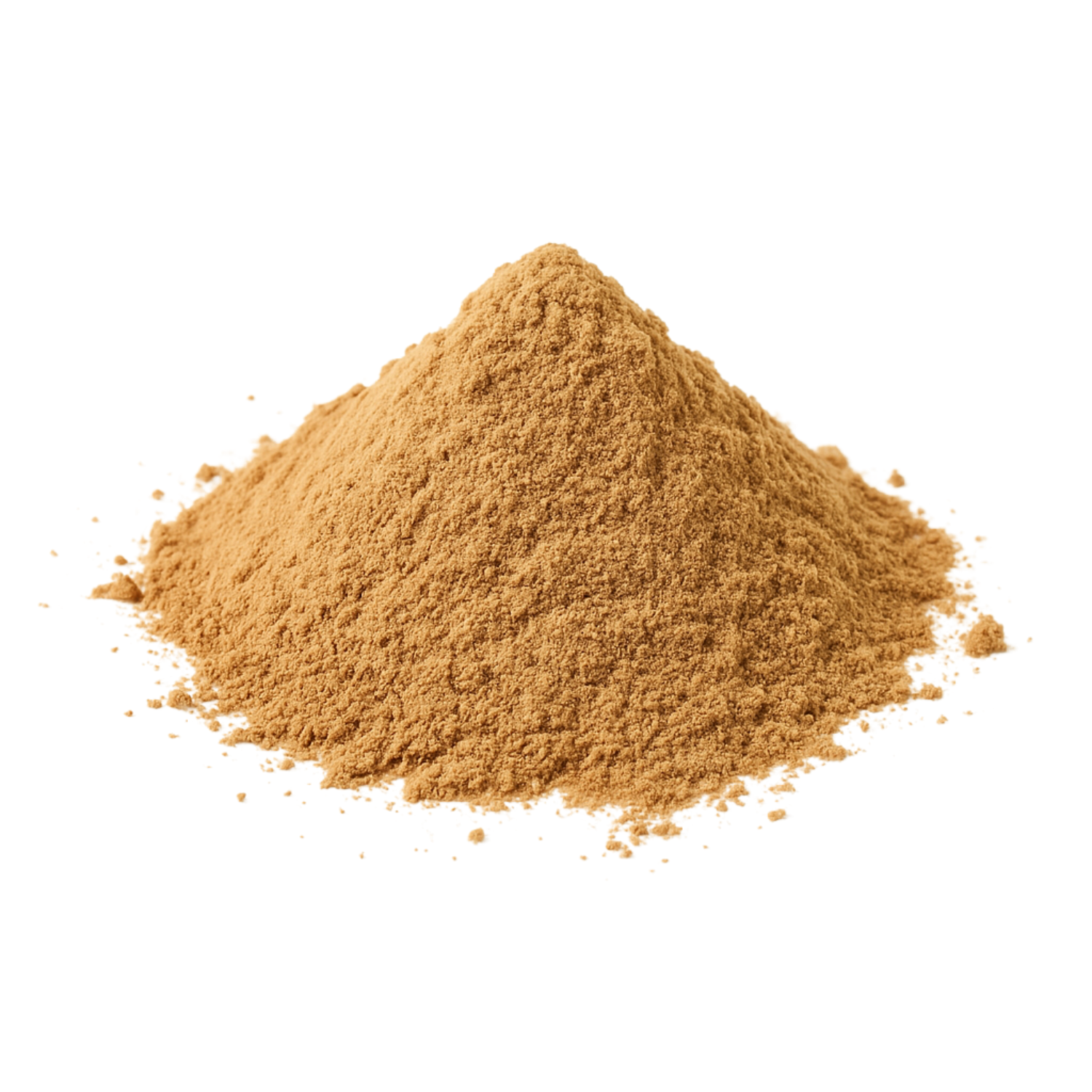 Mushroom extract powder on a white background