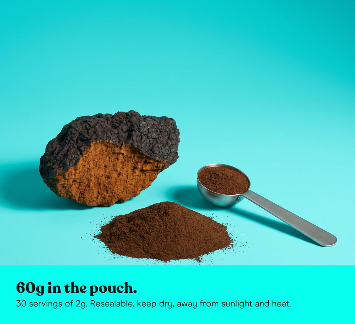 Chaga mushroom beside a mound of Chaga extract powder and a measuring spoon: 60g in the pouch, 30 servings of 2g, resealable