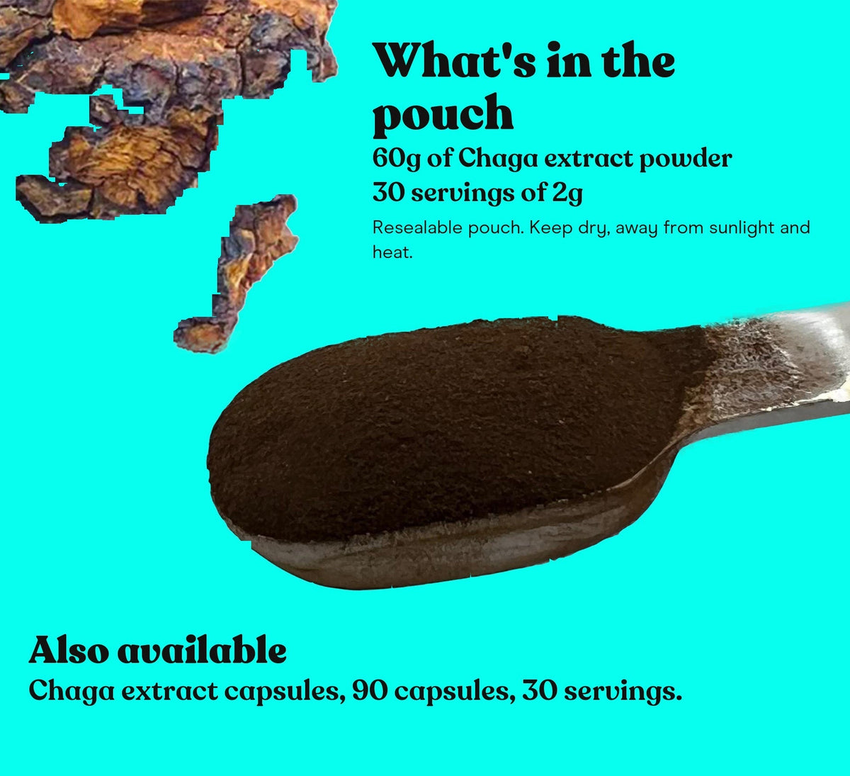 Chaga Mushroom Extract Powder - Pure Fungi