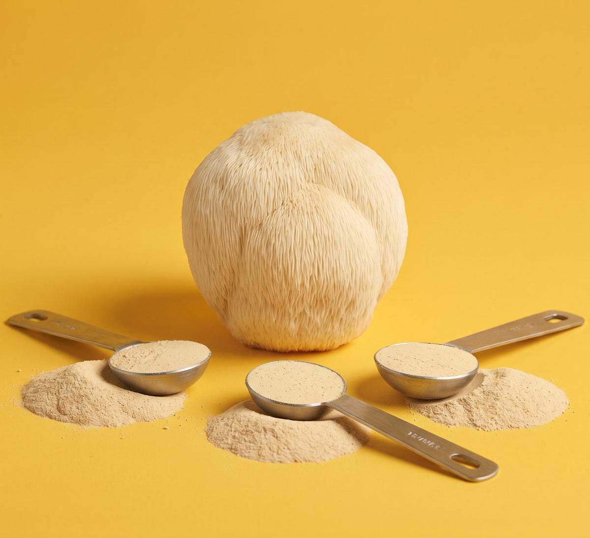 A Lion's Mane mushroom (Hericium erinaceus) with three dunes of extract powder and measuring spoons on a yellow backdrop