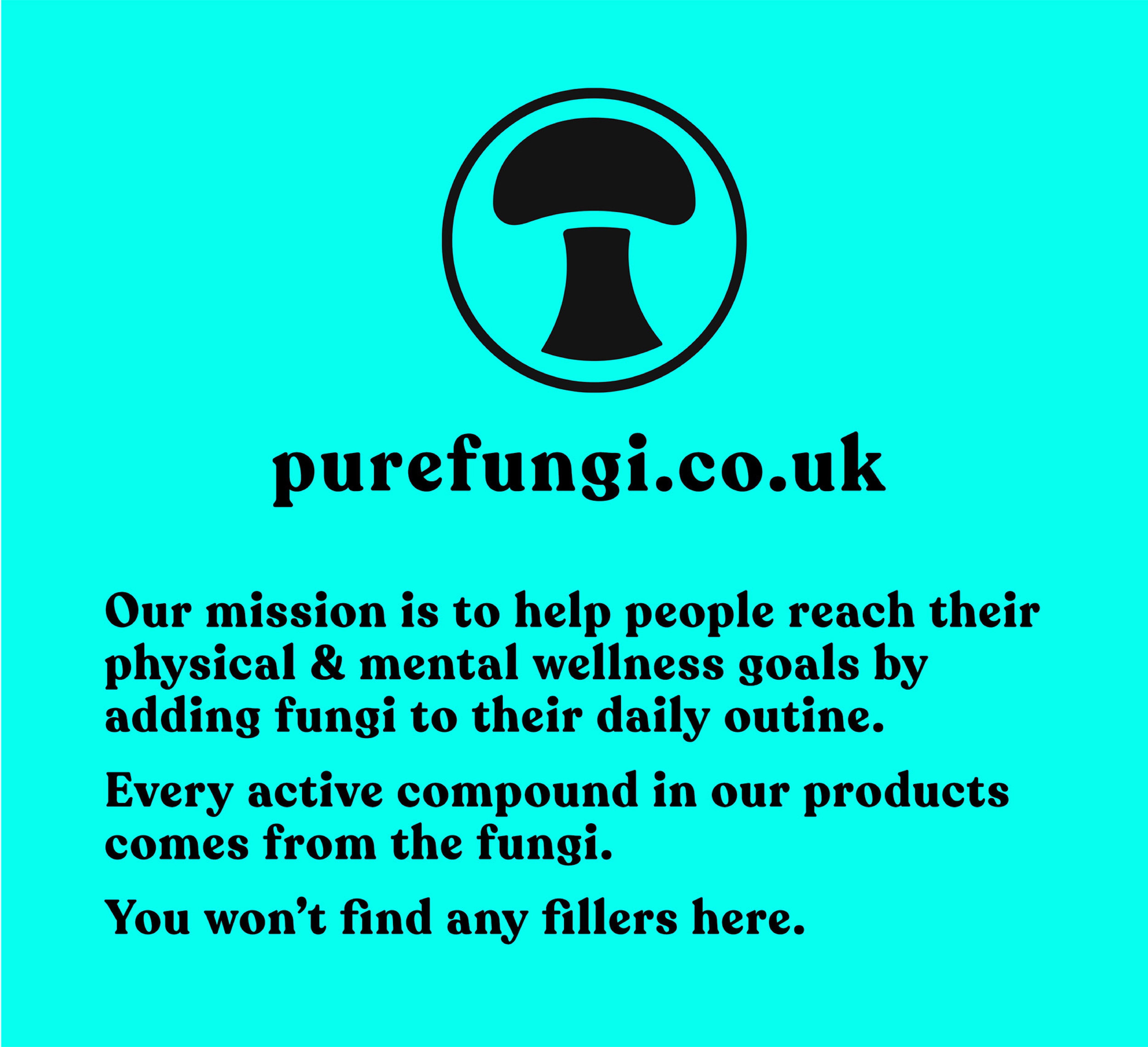 Organic Chaga Extract Powder | 60g | 30 servings - Pure Fungi