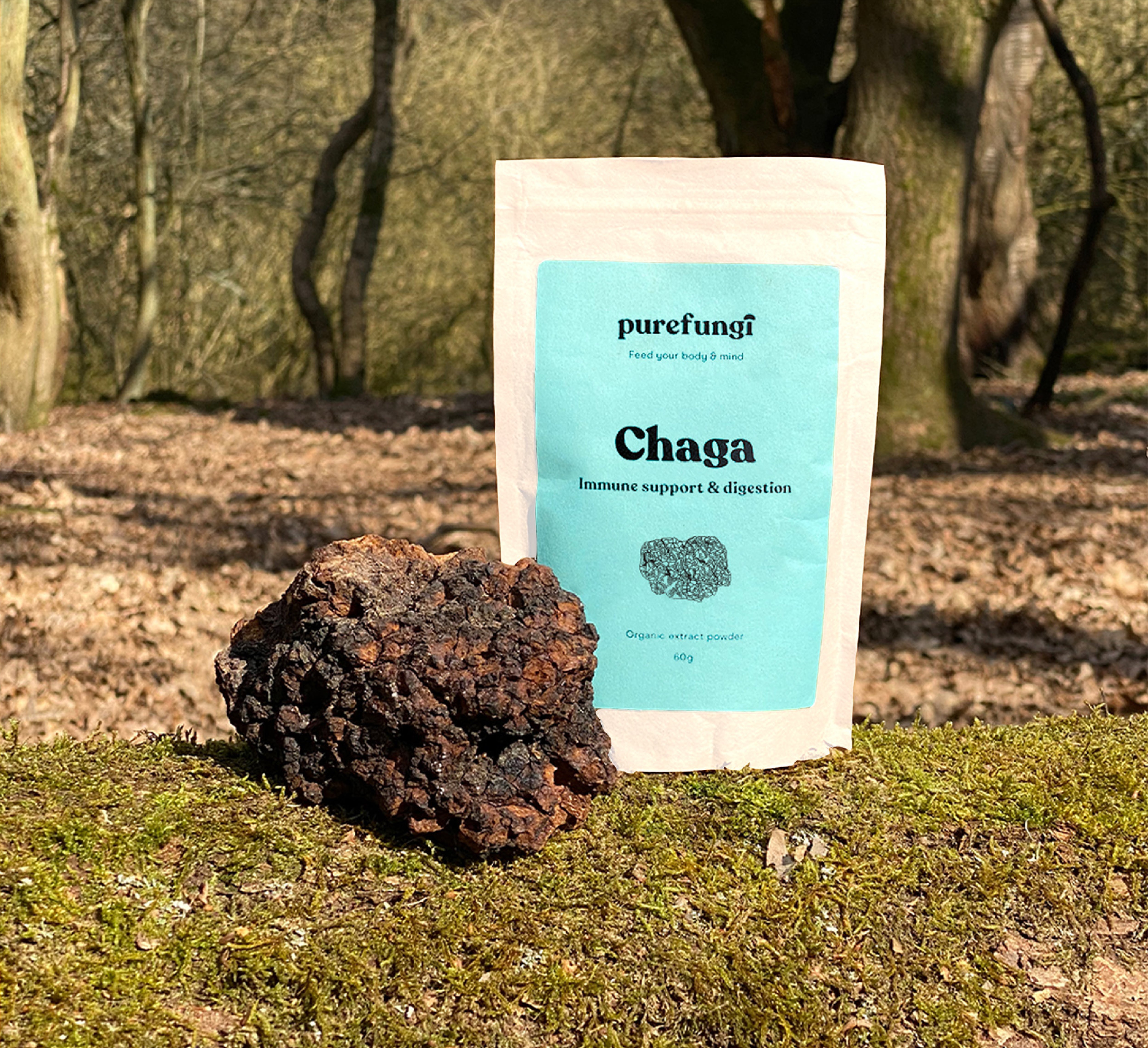 Organic Chaga Extract Powder | 60g | 30 servings - Pure Fungi