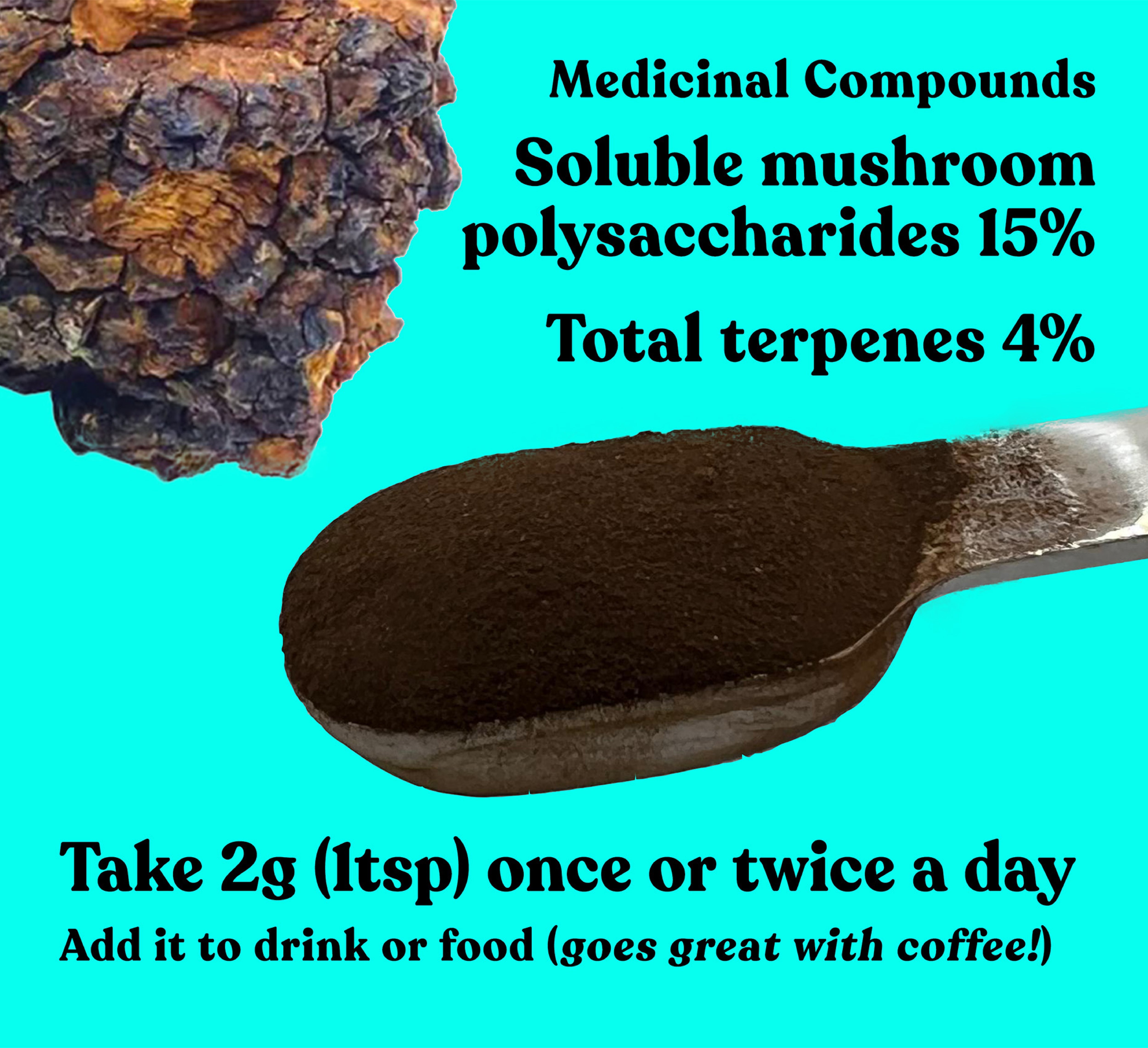 Organic Chaga Extract Powder | 60g | 30 servings - Pure Fungi
