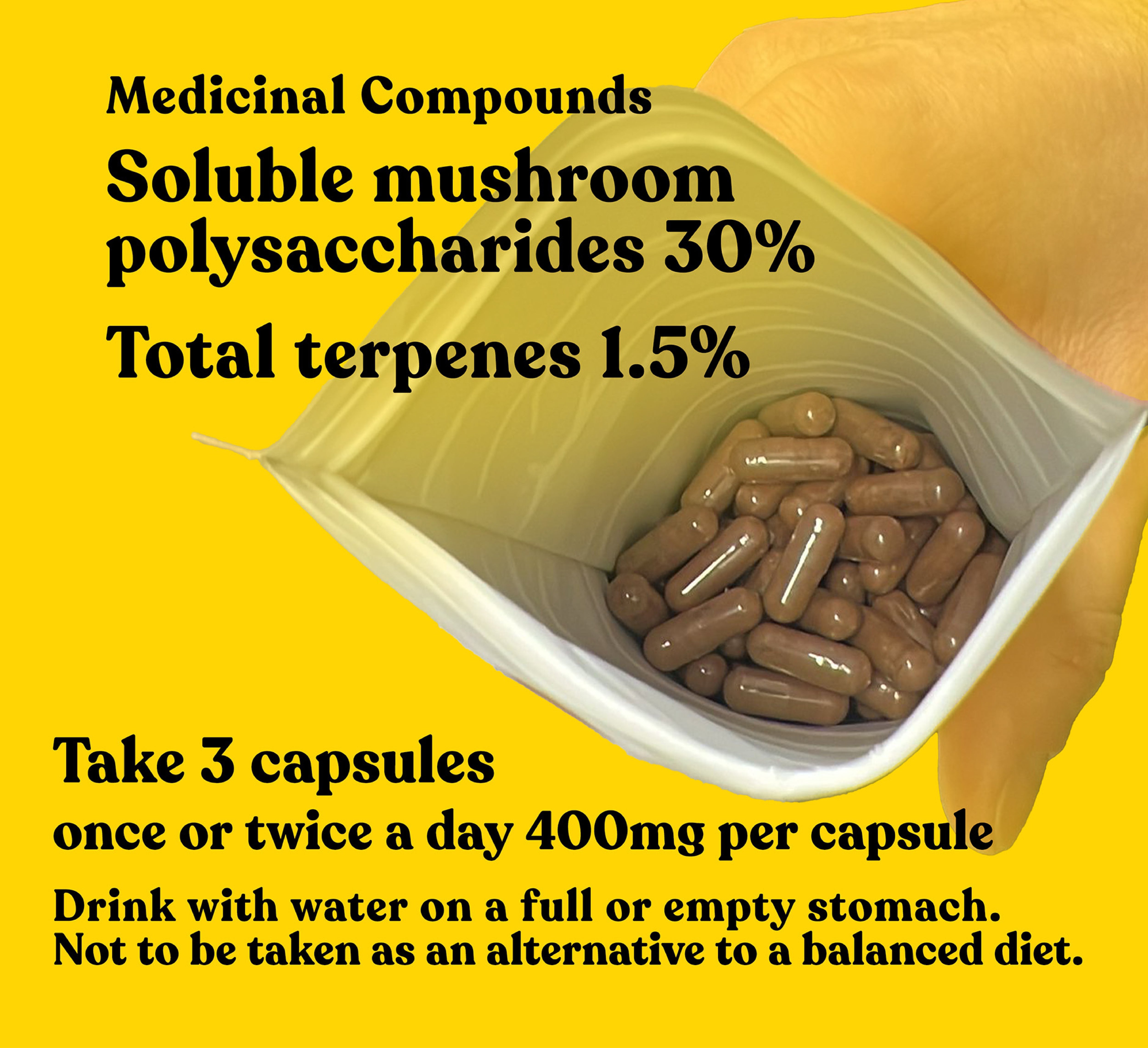 Organic Lion's Mane Extract Capsules | 90 Capsules | 30 servings - Pure Fungi