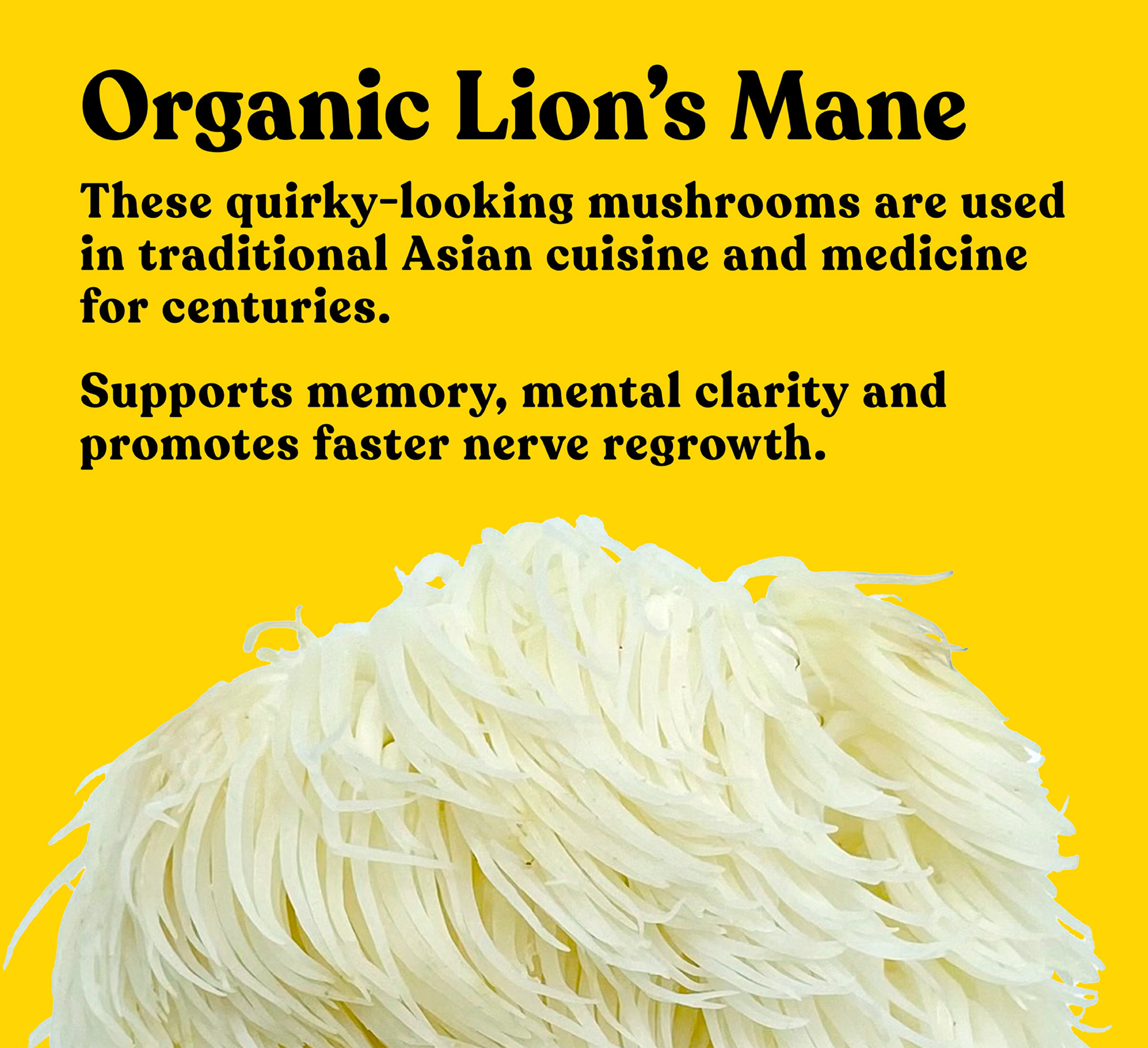 Organic Lion's Mane Extract Powder | 60g | 30 servings - Pure Fungi