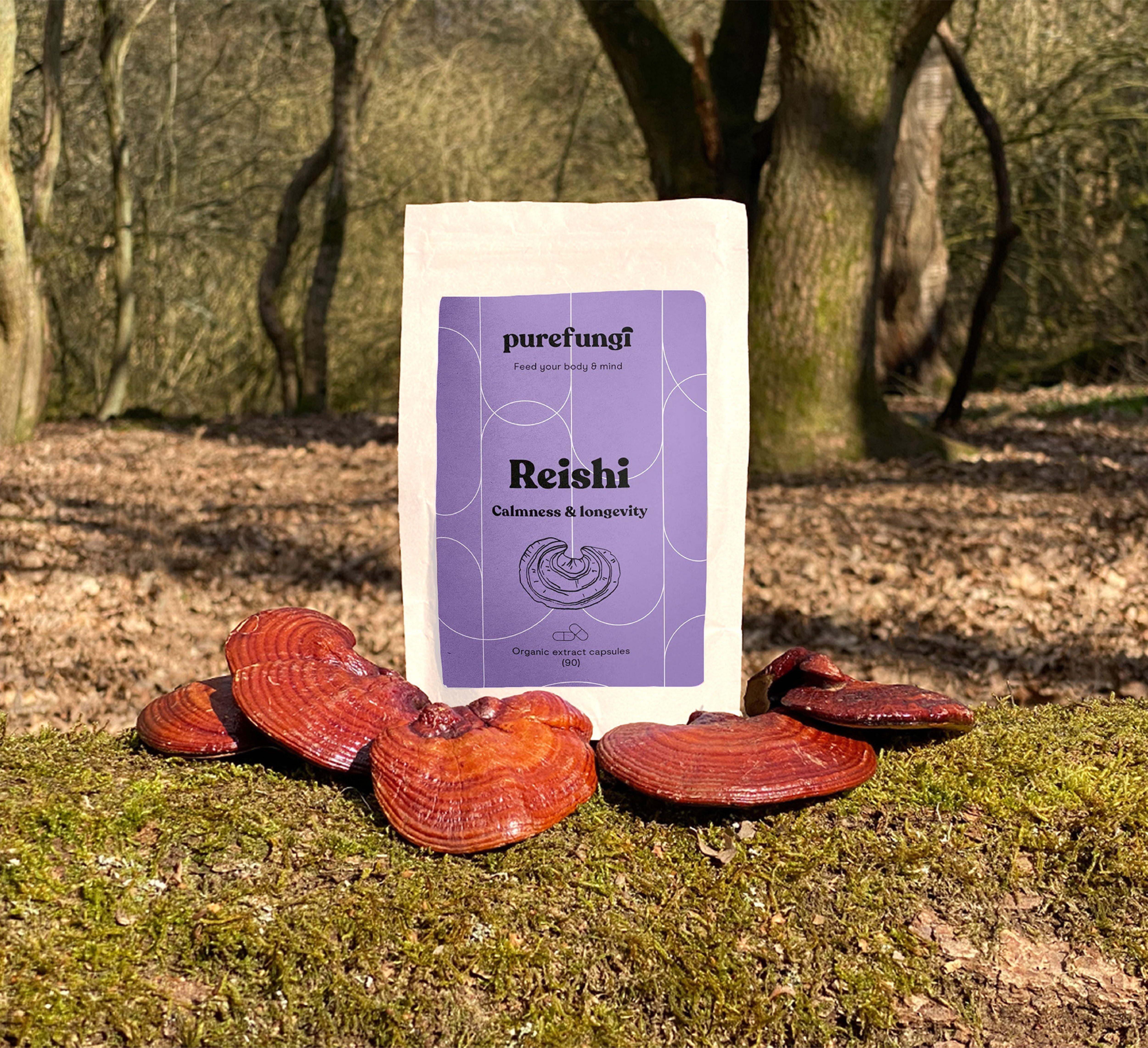 Organic Reishi Extract Capsules | 90 Capsules | 30 Servings - Pure Fungi