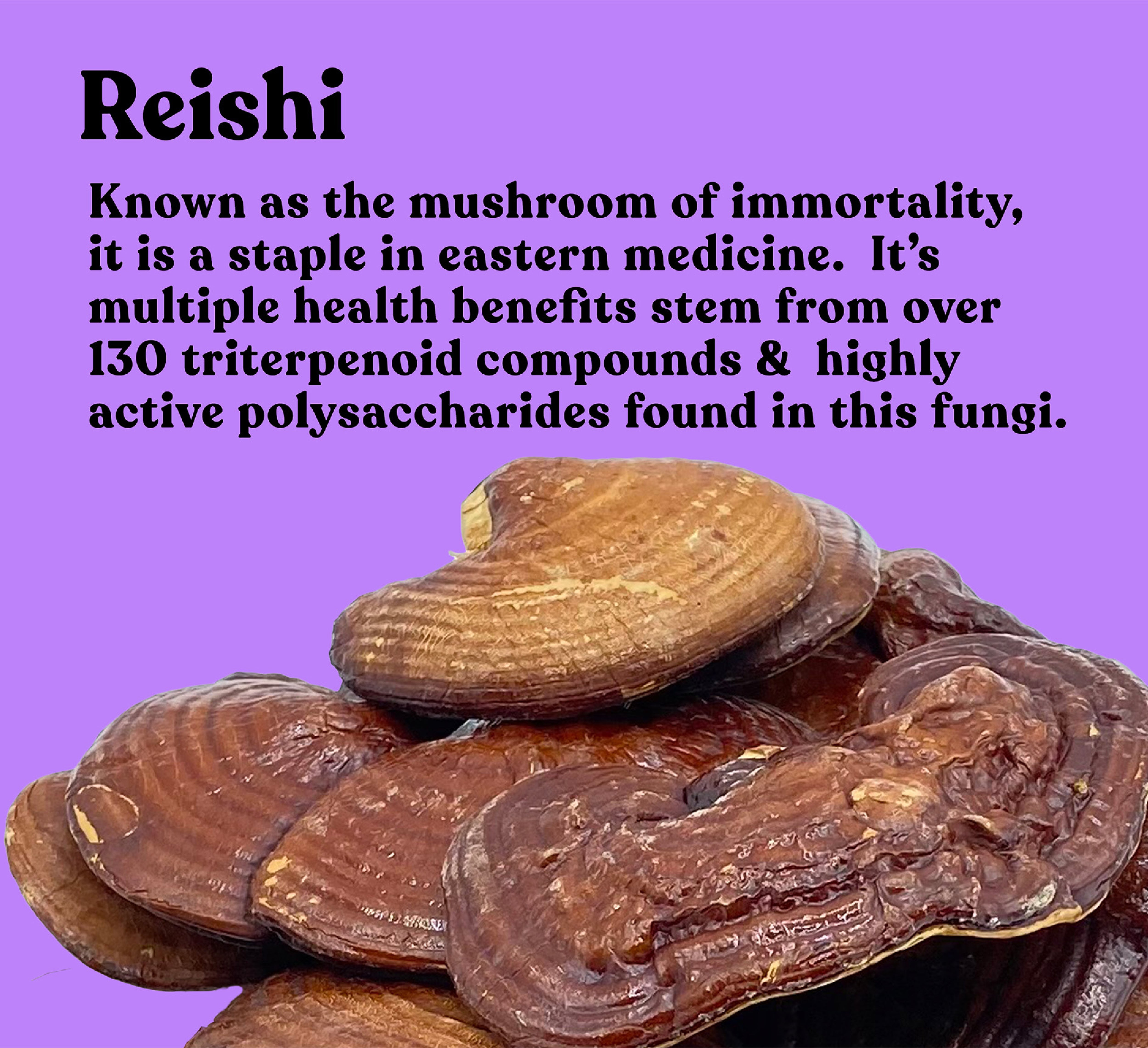 Organic Reishi Extract Capsules | 90 Capsules | 30 Servings - Pure Fungi