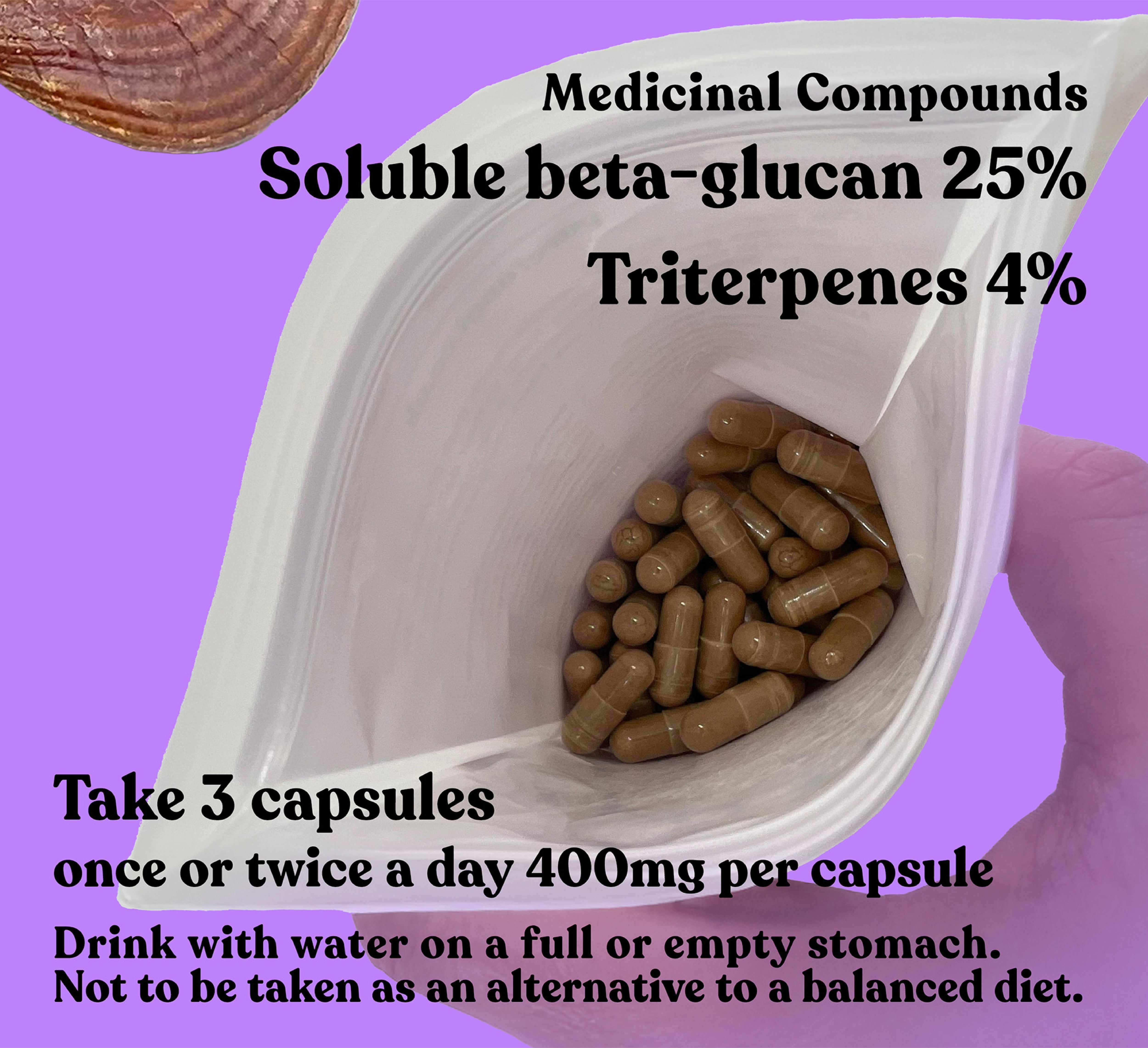 Organic Reishi Extract Capsules | 90 Capsules | 30 Servings - Pure Fungi