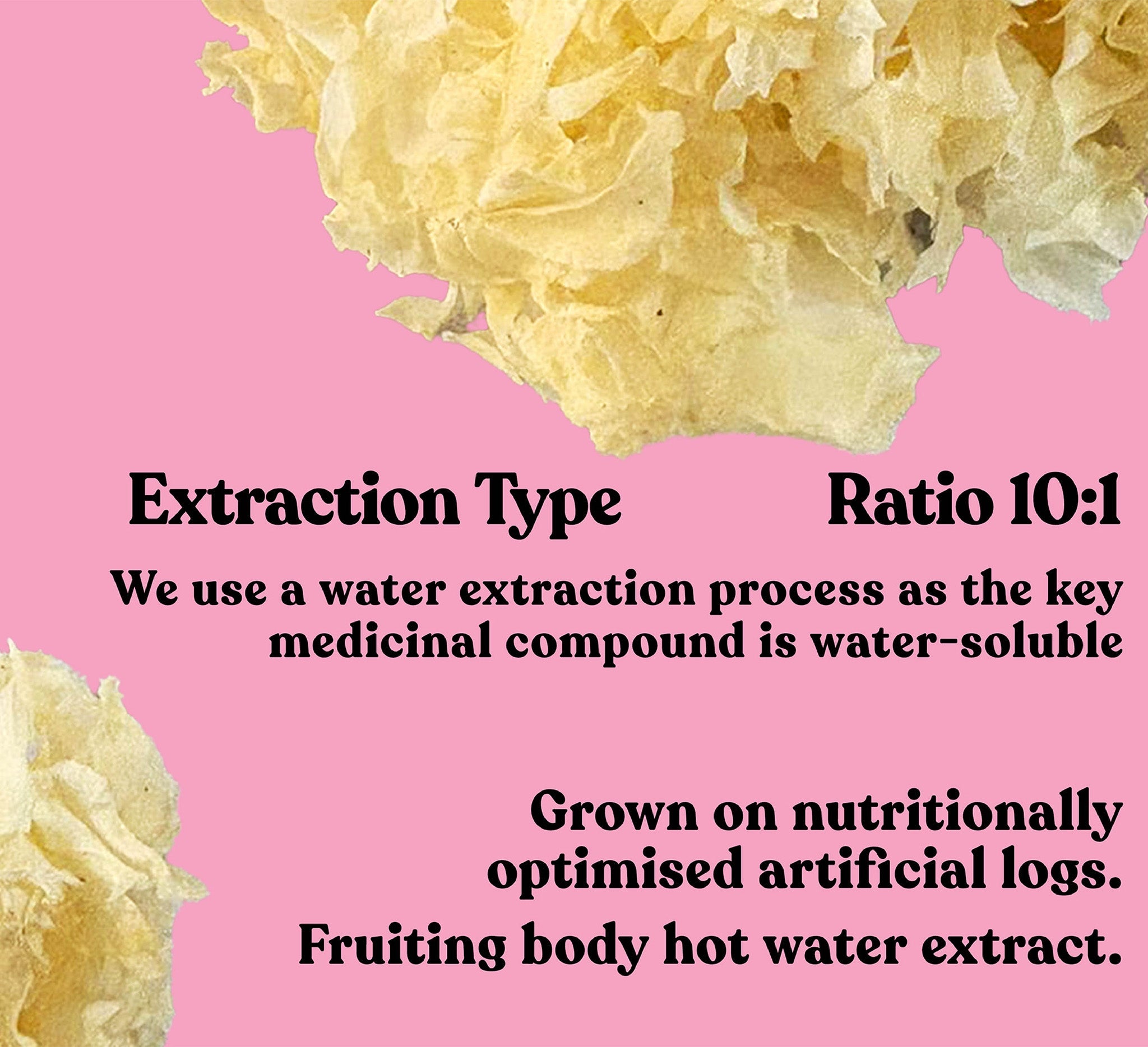 Organic Snow Fungus Extract Capsules | 90 Capsules | 30 servings - Pure Fungi