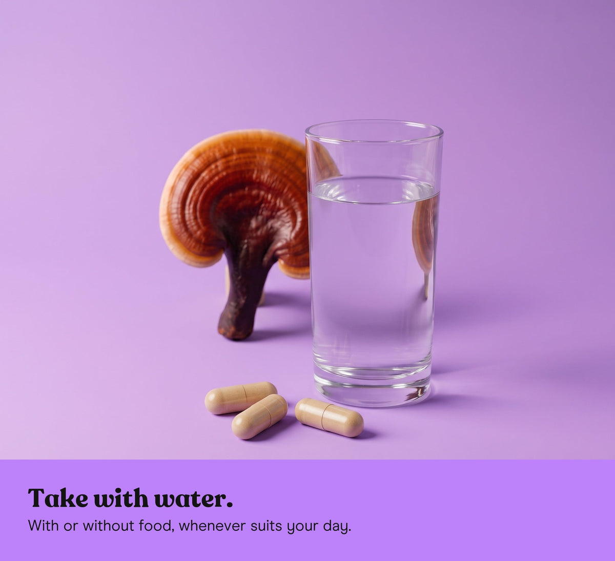 A glass of water and three Reishi extract capsules, a Reishi mushroom behind, on a lilac backdrop