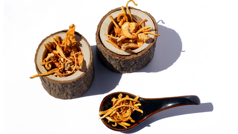 Cordyceps: the energy extract that boosts endurance
