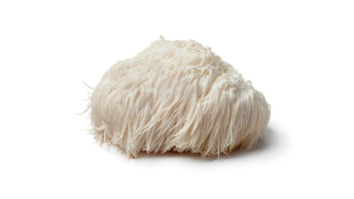 Boost your brain with Lion’s Mane - Pure Fungi