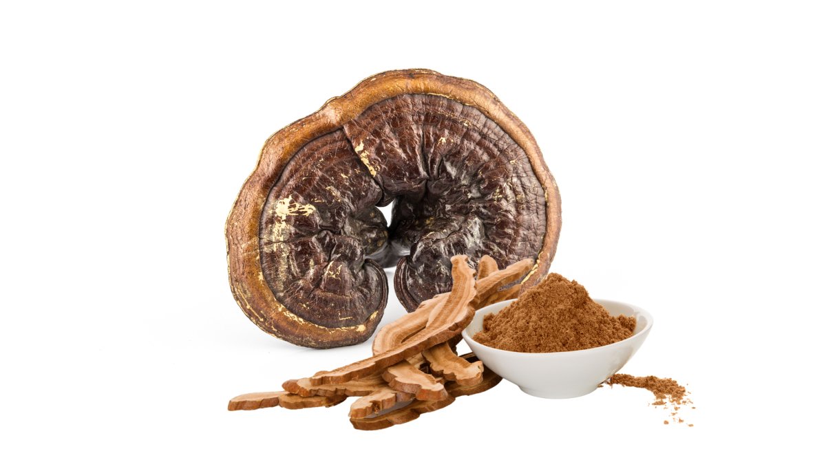 Science-backed benefits of Reishi - Pure Fungi