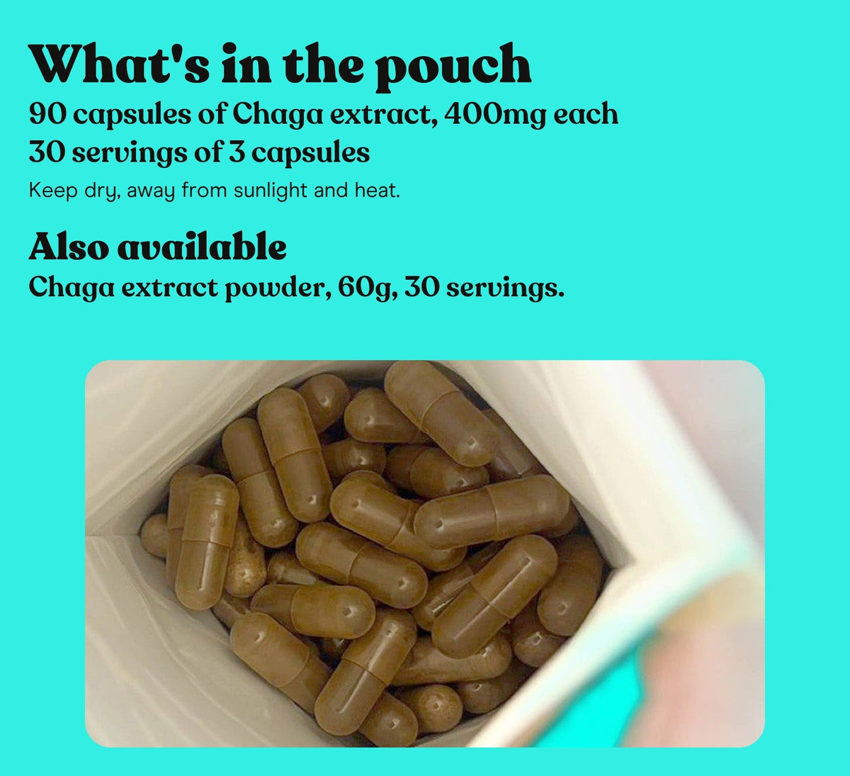Chaga Mushroom Extract Capsules - Pure Fungi