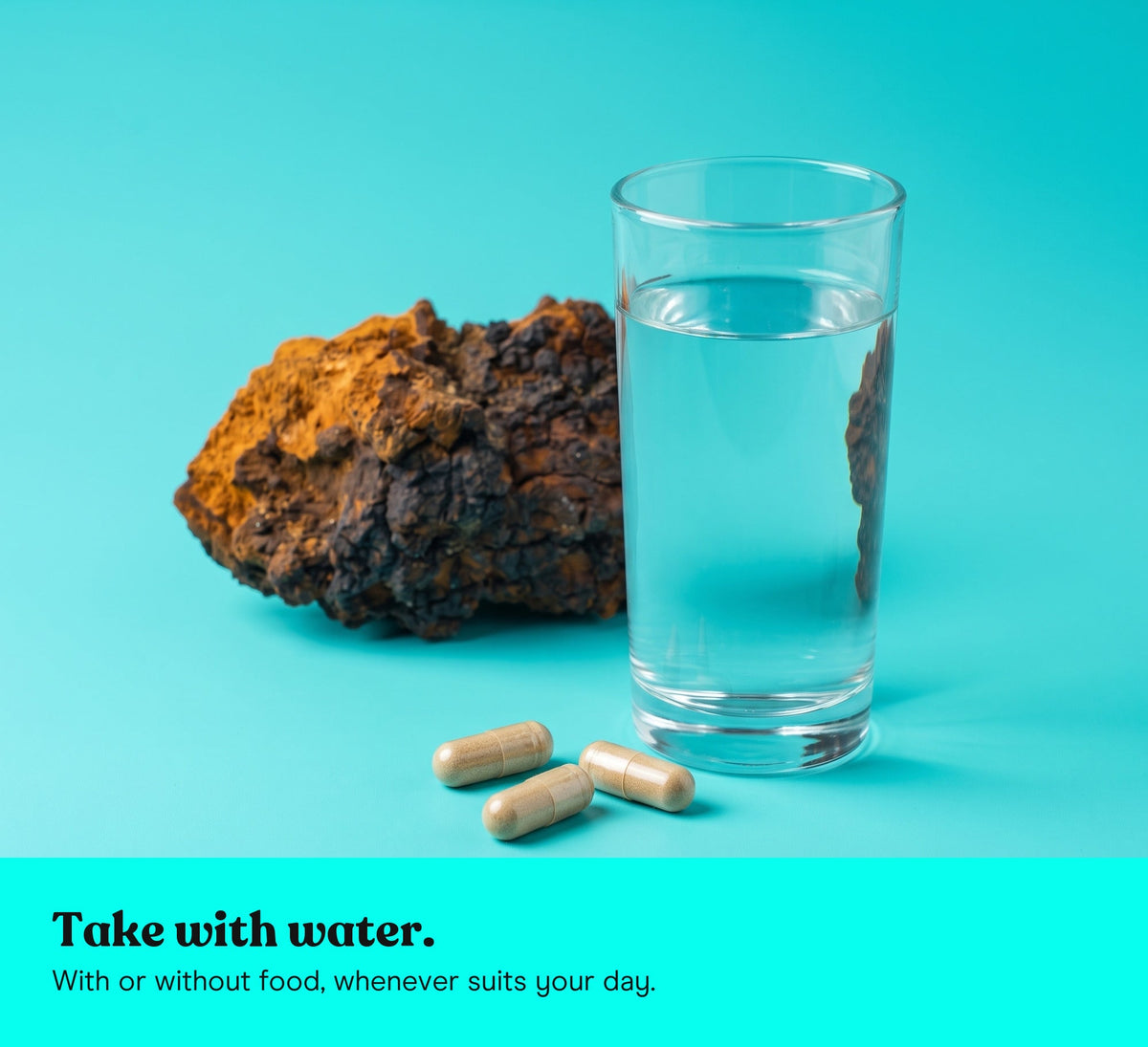 A glass of water and three Chaga extract capsules, a piece of Chaga behind, on a cyan backdrop