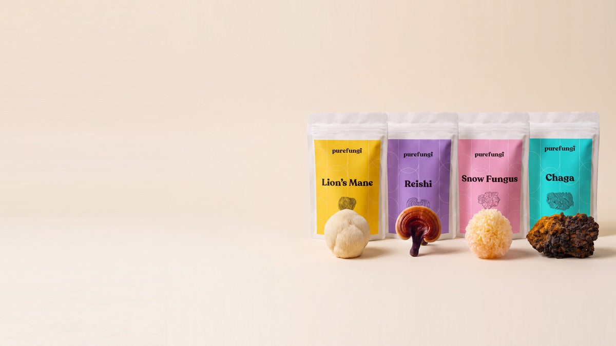 Pure Fungi Lion's Mane, Reishi, Snow Fungus and Chaga pouches, each with its mushroom, on warm cream paper