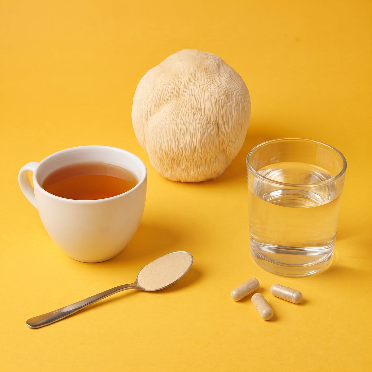 Lion's Mane (Hericium erinaceus) on yellow paper, a level teaspoon of pale tan extract powder by a cup of tea, three capsules by a glass of water