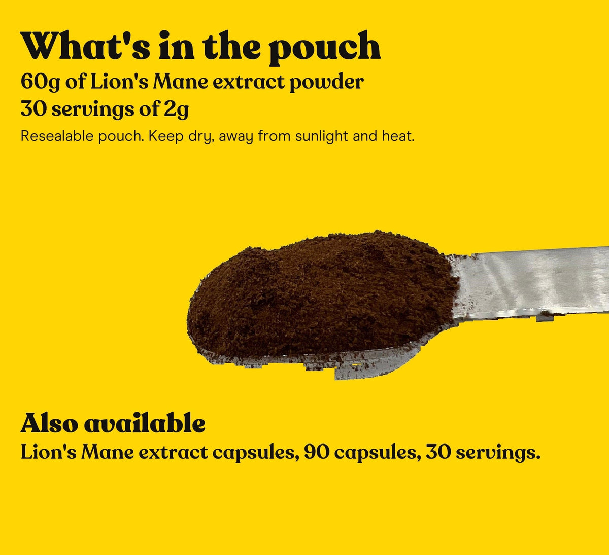 Lion's Mane Mushroom Extract Powder - Pure Fungi