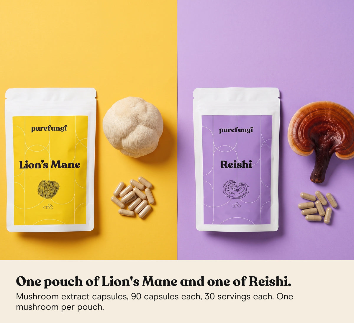 Lion's Mane and Reishi capsules pouches lying flat with capsules, a Lion's Mane mushroom (Hericium erinaceus) and a Reishi mushroom (Ganoderma lucidum) on a yellow and lilac backdrop
