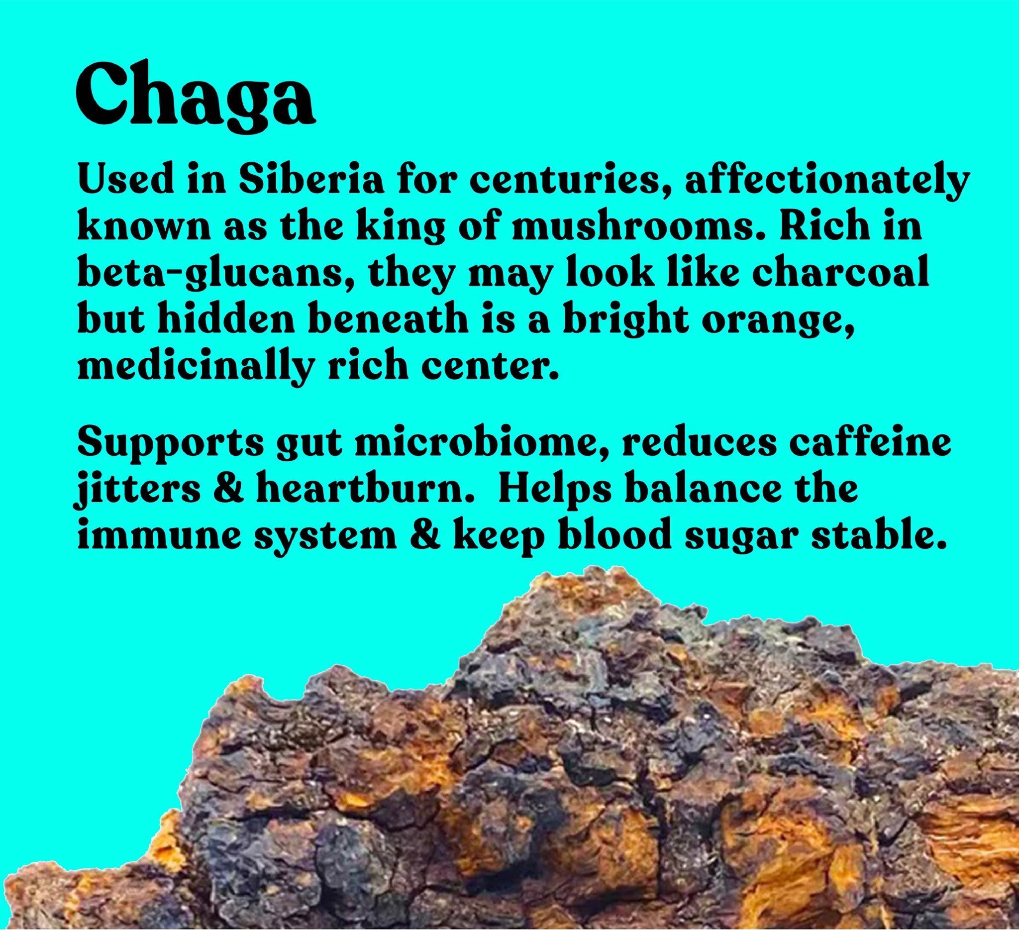 Organic Chaga Extract Capsules | 90 Capsules | 30 servings - Pure Fungi