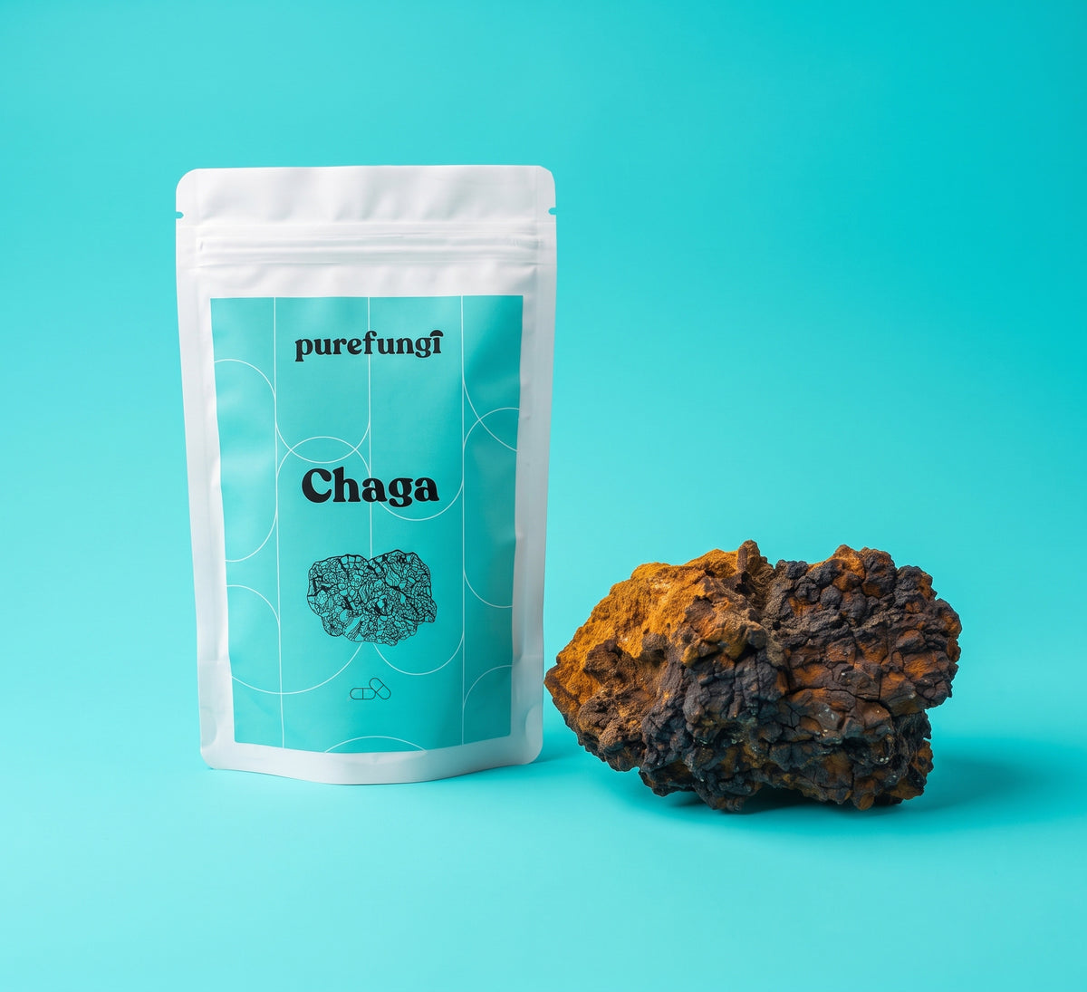 Chaga Extract Capsules X001ICZZ3J