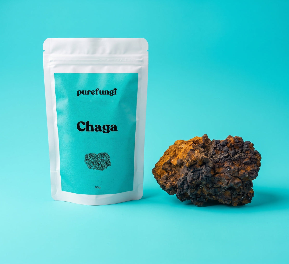 Chaga Extract Powder X001C0CSGJ