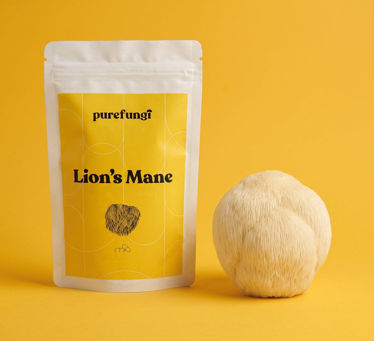 Pure Fungi Lion's Mane Mushroom Extract Capsules, pouch with a yellow label, beside a Lion's Mane mushroom (Hericium erinaceus) on a yellow backdrop